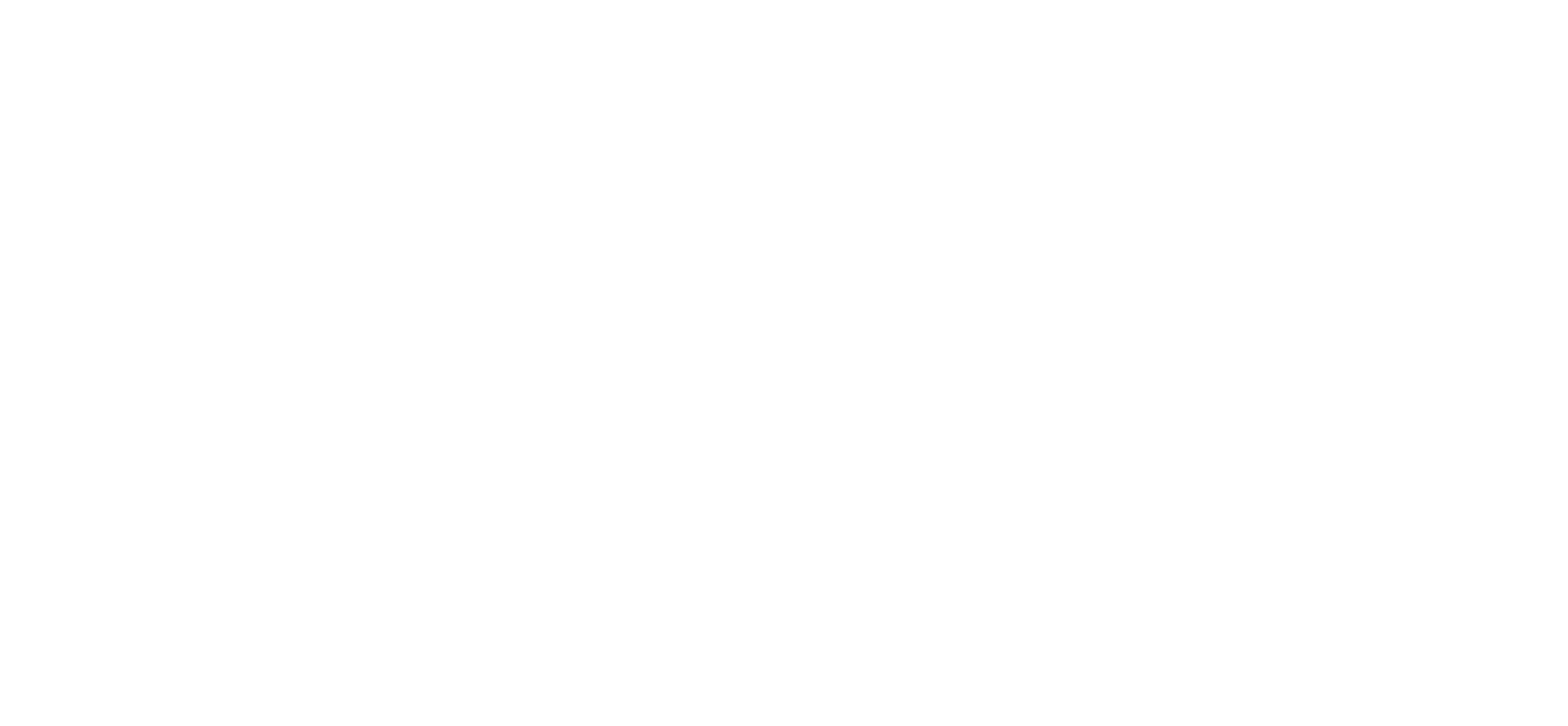 Zelle Logo Home